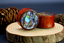 Load image into Gallery viewer, Blood Wood Plugs with Abalone Shell