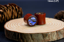 Load image into Gallery viewer, Blood Wood Plugs with Abalone Shell