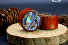 Load image into Gallery viewer, Blood Wood Plugs with Abalone Shell