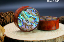Load image into Gallery viewer, Blood Wood Plugs with Abalone Shell