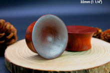 Load image into Gallery viewer, Blood Wood Mayan Plugs