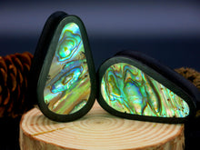 Load image into Gallery viewer, Dark Raintree Tall Teardrop Plugs with Abalone Shell