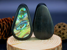 Load image into Gallery viewer, Dark Raintree Tall Teardrop Plugs with Abalone Shell