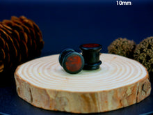 Load image into Gallery viewer, Dark Raintree Top Hat Plugs with Burl Walnut
