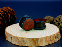 Load image into Gallery viewer, Dark Raintree Top Hat Plugs with Burl Walnut