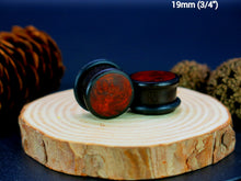 Load image into Gallery viewer, Dark Raintree Top Hat Plugs with Burl Walnut