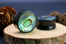 Load image into Gallery viewer, Dark Raintree Plugs with Abalone Shell