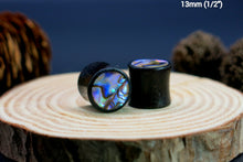 Load image into Gallery viewer, Dark Raintree Plugs with Abalone Shell