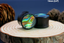 Load image into Gallery viewer, Dark Raintree Plugs with Abalone Shell