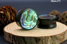 Load image into Gallery viewer, Dark Raintree Plugs with Abalone Shell