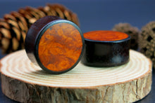 Load image into Gallery viewer, Dark Raintree Regular with Burl Walnut