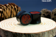 Load image into Gallery viewer, Dark Raintree Regular with Burl Walnut