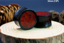 Load image into Gallery viewer, Dark Raintree Regular with Burl Walnut