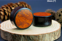 Load image into Gallery viewer, Dark Raintree Regular with Burl Walnut