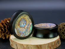 Load image into Gallery viewer, Dark Raintree Oval Teardrop Plugs with Abalone Shell