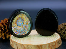 Load image into Gallery viewer, Dark Raintree Oval Teardrop Plugs with Abalone Shell