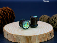 Load image into Gallery viewer, Dark Raintree Top Hat Plugs with Abalone Shell