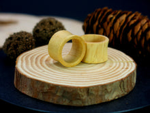 Load image into Gallery viewer, Hevea Wood Regular Tunnels