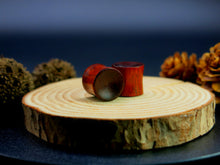 Load image into Gallery viewer, Blood Wood Concave Plugs