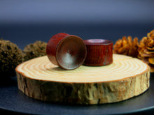 Load image into Gallery viewer, Blood Wood Concave Plugs