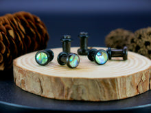 Load image into Gallery viewer, Precision Small Gauge Buffalo Horn Single Flare Plugs with Abalone Shell