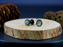 Load image into Gallery viewer, Precision Small Gauge Buffalo Horn Single Flare Plugs with Abalone Shell