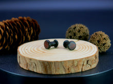 Load image into Gallery viewer, Precision Small Gauge Dark Raintree Single Flare Plugs with Burl Walnut