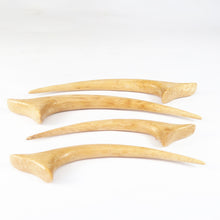 Load image into Gallery viewer, Hevea Wood Talons