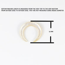 Load image into Gallery viewer, Shell Septum Pincher Sharp Ends