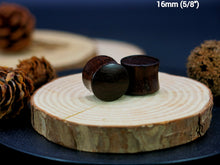 Load image into Gallery viewer, Dark Raintree Regular Plugs