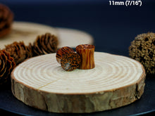 Load image into Gallery viewer, Coconut Palm Concave Plugs