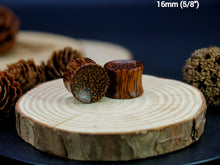 Load image into Gallery viewer, Coconut Palm Concave Plugs