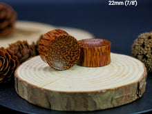 Load image into Gallery viewer, Coconut Palm Concave Plugs