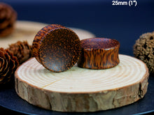 Load image into Gallery viewer, Coconut Palm Concave Plugs