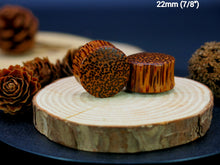 Load image into Gallery viewer, Coconut Palm Regular Plugs