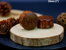 Load image into Gallery viewer, Coconut Palm Regular Plugs