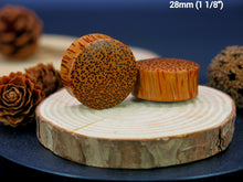 Load image into Gallery viewer, Coconut Palm Regular Plugs