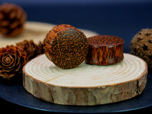 Load image into Gallery viewer, Coconut Palm Regular Plugs