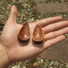 Load image into Gallery viewer, Coconut Palm Concave Tall Teardrop Plugs