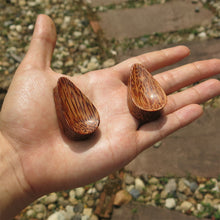 Load image into Gallery viewer, Coconut Palm Concave Tall Teardrop Plugs
