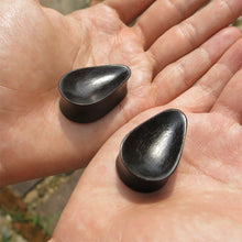 Load image into Gallery viewer, Dark Raintree Concave Tall Teardrop Plugs