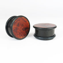Load image into Gallery viewer, Dark Raintree Top Hat Plugs with Burl Walnut