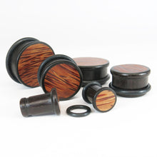 Load image into Gallery viewer, Dark Raintree Top Hat Plugs with Coconut Palm