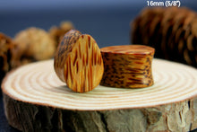 Load image into Gallery viewer, Coconut Palm Classic Teardrop Plugs
