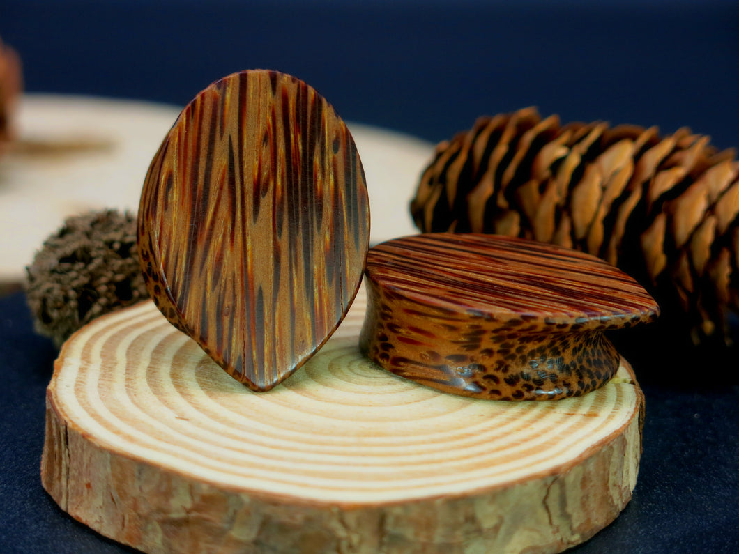 Coconut Palm Classic Geometric Teardrop Plugs