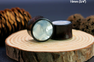 Dark Raintree Regular with Mother of Pearl Shell