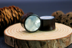 Dark Raintree Regular with Mother of Pearl Shell
