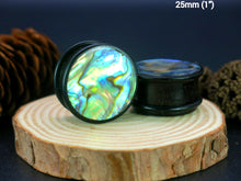 Load image into Gallery viewer, Dark Raintree Top Hat Plugs with Abalone Shell
