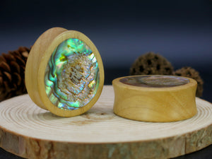 Hevea Wood Oval Teardrop Plugs with Abalone Shell