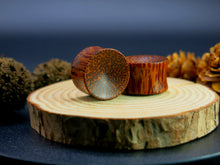 Load image into Gallery viewer, Coconut Palm Concave Plugs
